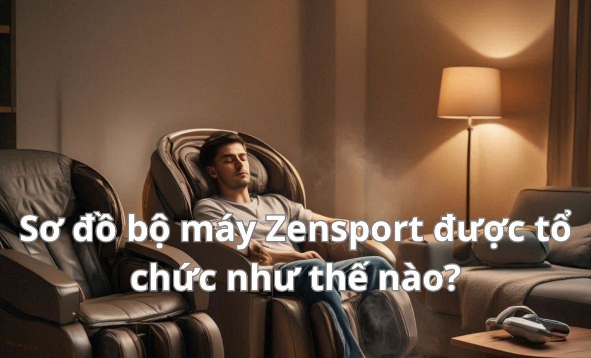 Sơ đồ bộ máy Zensport được tổ chức như thế nào? Sơ đồ bộ máy Zensport được tổ chức như thế nào?