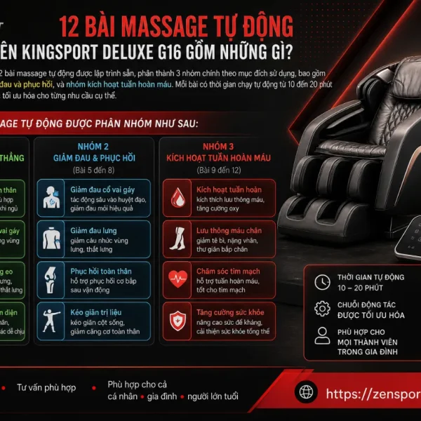 Ghế Massage KingSport Deluxe G16: 12 Bài Auto, 3 Cấp Độ Rung