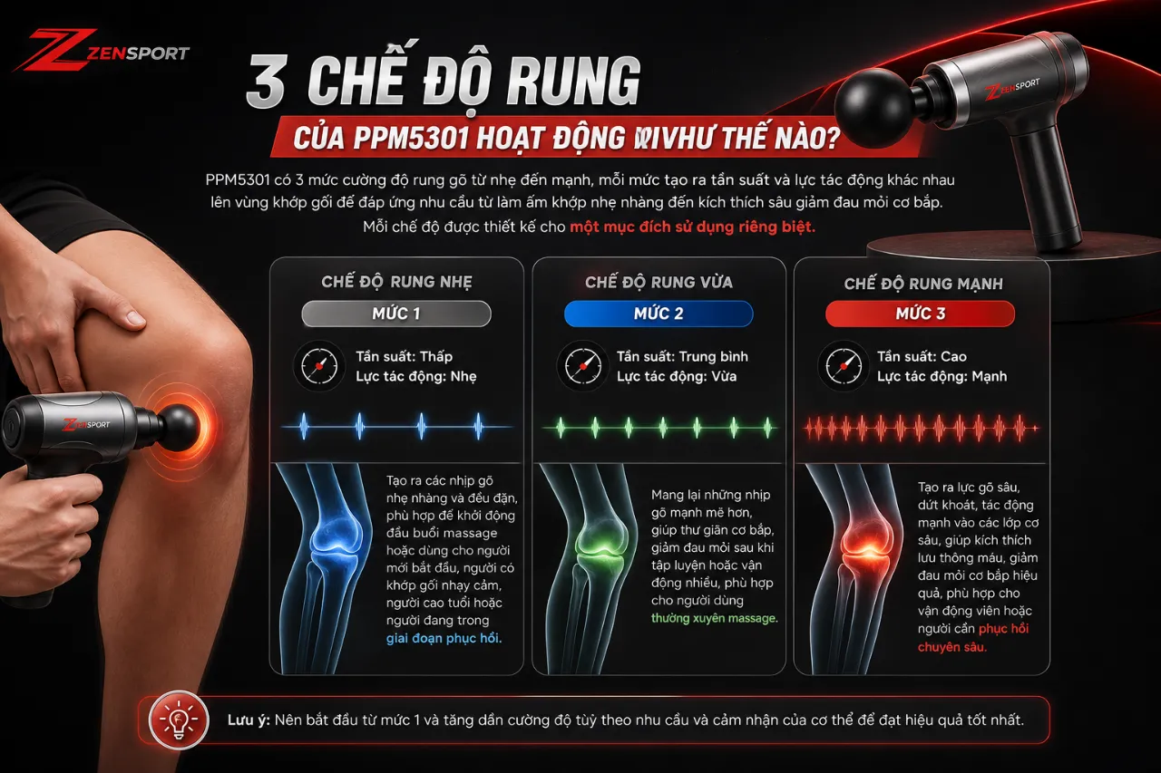 3 chế độ rung của PPM5301 hoạt động như thế nào?