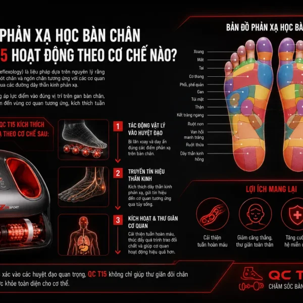 Queen Crown QC T15: Ghế Massage 3D, Bi Lăn Chân Chuyên Sâu