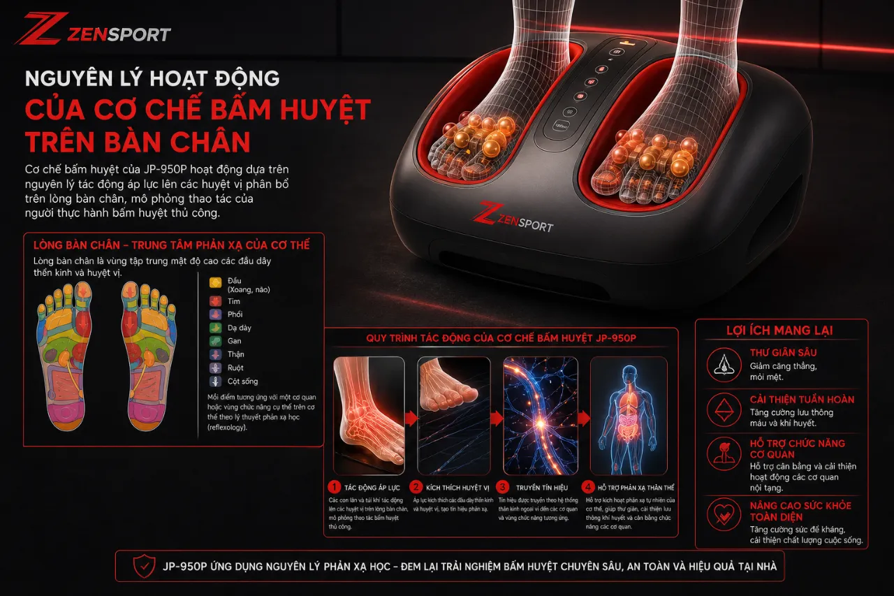 Nguyên Lý Hoạt Động Của Cơ Chế Bấm Huyệt Trên Bàn Chân