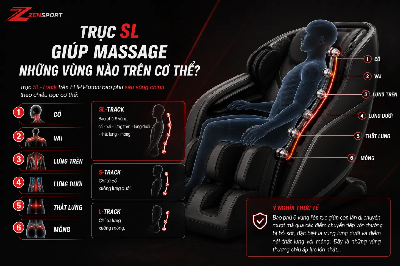 Trục SL Giúp Massage Những Vùng Nào Trên Cơ Thể?