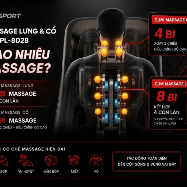 Cụm massage lưng và cổ của Puli PL-802B có bao nhiêu bi massage?