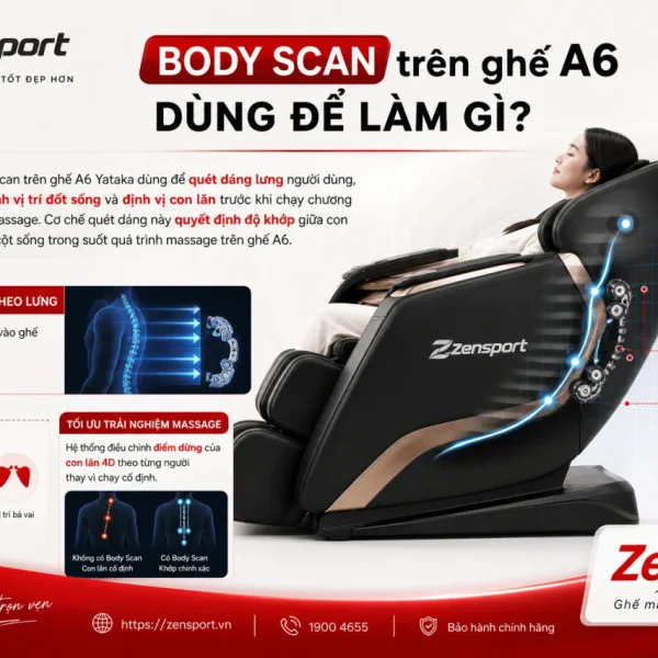 Body Scan trên ghế A6 dùng để làm gì